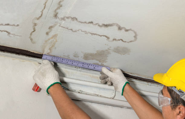 Affordable Ceiling Water Damage Repair solutions in Plainville, KS